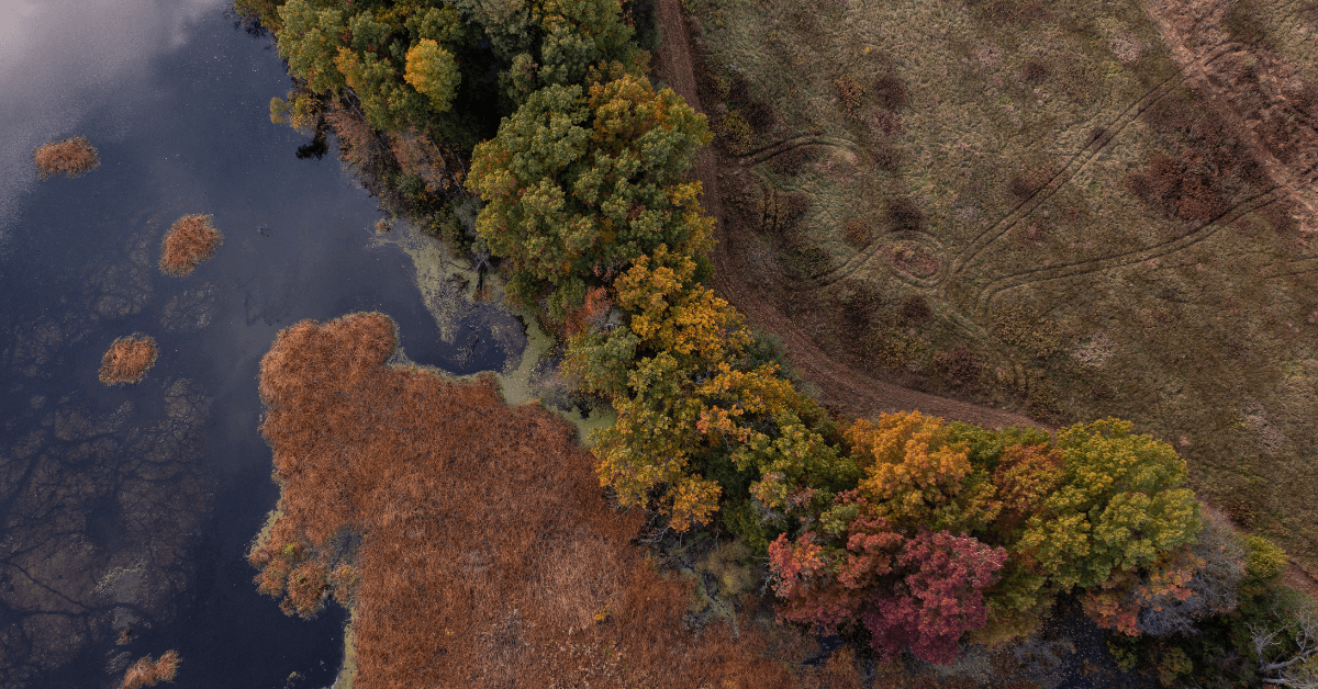 Featured Image for Hunting Land is a Safe Investment